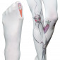 Tights SOMA